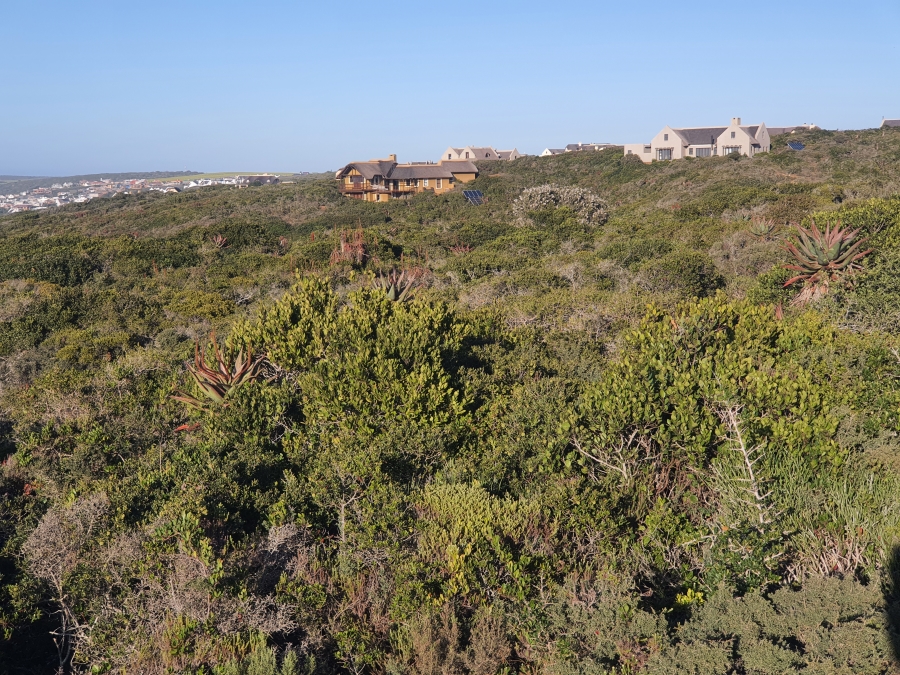 0 Bedroom Property for Sale in Boggomsbaai Western Cape